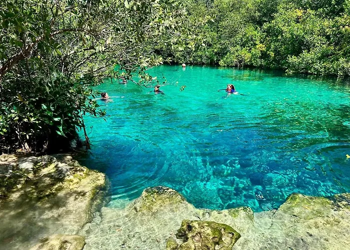 Across From The With 2 Pools & Jungle Vibes * Tulum