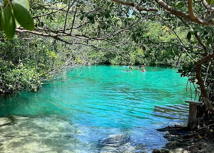 Across From The With 2 Pools & Jungle Vibes * Tulum